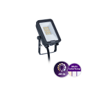 LEDINAIRE - PROYECTOR BVP167 LED12/SCCT PSU 10W SWB CE