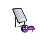 LEDINAIRE - PROYECTOR  BVP169 LED240/SCCT PSU 200W SWB CE