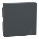 Schneider Electric - Tecla simbolo Timbre elegance Antracita