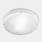 LEDS-C4 - Plafón IP66 BASIC LED 21.4W 2700K gris urbano 2500lm