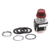 Uña del pulgar Imagen del producto 1