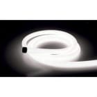 ILUTREK - CENTO-ROLLO 5 MTS 75W 24V NEON CIRCULAR CRI90 IP67 4000K