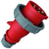 Uña del pulgar Imagen del producto 1