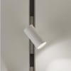 Uña del pulgar Imagen de entorno 3