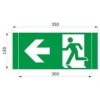 Uña del pulgar Imagen del producto 1