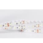 TSL - TIRA FLEX.OWENS 3 SMD2835 120 LED/M 8