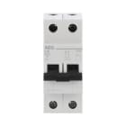 AEG BAJA TENSIÓN - INT. MAG. EV60 2P 16A C