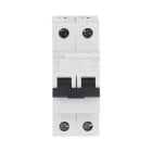 AEG BAJA TENSIÓN - INT. MAG. EV60 2P 32A C