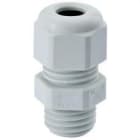 RITTAL - PTOPAS.HSK K GR M16X1,5 2-6MM 6.0MM(50P)