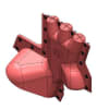 Uña del pulgar Imagen del producto 1