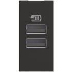 BTICINO - Base cargador doble USB Classia - Tipo A+A - Dark - 1mod