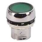 ROCKWELL - PULSADOR LUMINOSO 22mm 800FM-LF3MN7GX10