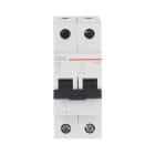 AEG BAJA TENSIÓN - Int. mag. EH60 2P 63A C