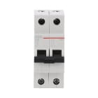 AEG BAJA TENSIÓN - Int. mag. EH60 2P 40A C