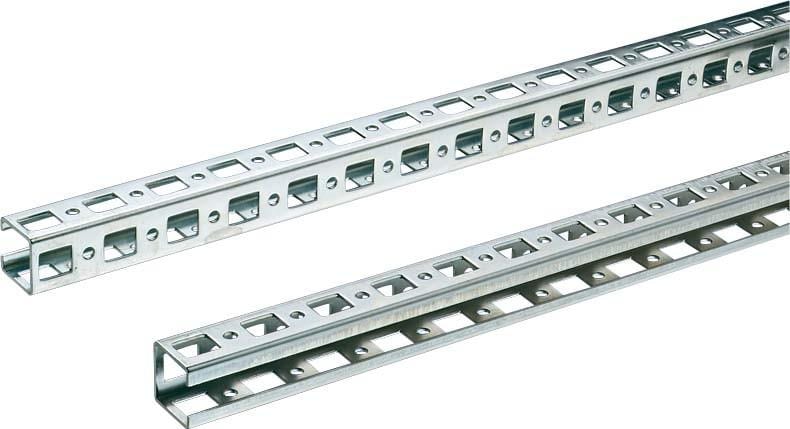 RITTAL - Carril montura PS 1855mm (6P)
