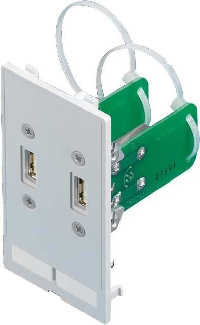 RITTAL - Conector interfaz SZ 2xUSB-A