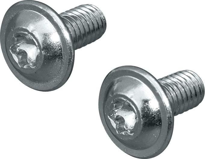 RITTAL - Tornillo torx SZ (300u)
