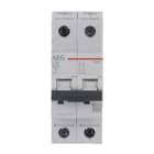 AEG BAJA TENSIÓN - Int. mag. EN60 2P 20A C