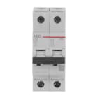 AEG BAJA TENSIÓN - Int. mag. EN60 2P 32A C