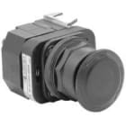 ROCKWELL - OPERADOR 30mm BOLETÍN 800T/H 800H-FRXTQH2RAY