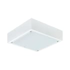 PHILIPS LIGHTING SOLUTIONS - Luminaria salas limpias CR250B LED 35S/840 PSD W60L60 IP65 cubierta de vidrio