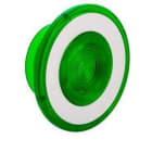 Schneider Electric - Tapón diámetro 41 verde