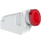 Schneider Electric - Base mural 63A 3P+N+TT 380-415V IP67