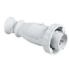 Schneider Electric - Clavija aérea 16A 2P 40-50V 50-60Hz IP67