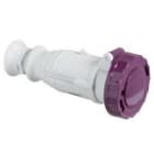 Schneider Electric - Base aérea 16A 2P 20-25V 50/60Hz IP67
