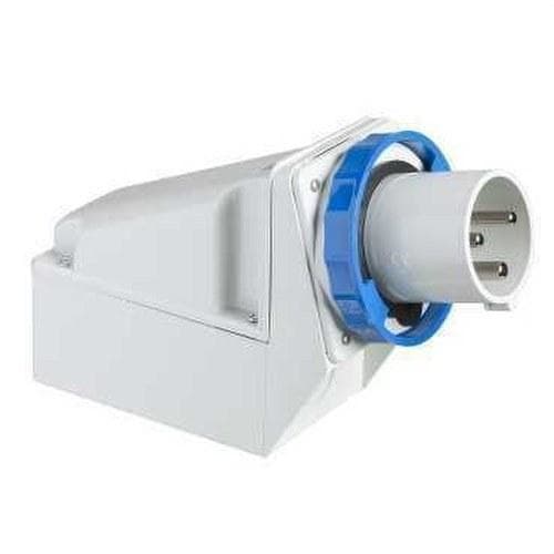 Schneider Electric - Clavija mural 63A 2P+TT 200-250V IP67