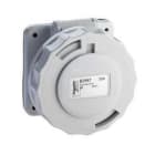 Schneider Electric - Base empotrar 16A 2P 40-50V 50/60Hz IP67