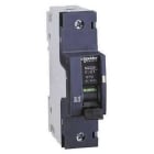 Schneider Electric - Interruptor magnetotérmico NG125H 1P 40A curva-C