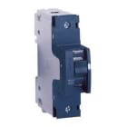 Schneider Electric - Interruptor magnetotérmico NG125L 1P 50A curva-B