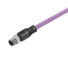 WEIDMULLER - Conexión SAIL-M12G-PB-3.0D