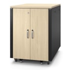 APC by Schneider Electric - APC NetShelter insonorizado, 17U, armario rack de servidor, 230 V, arce