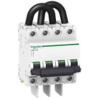 Schneider Electric - Interruptor automático especial C60PV-DC 800V CC 2P 16A