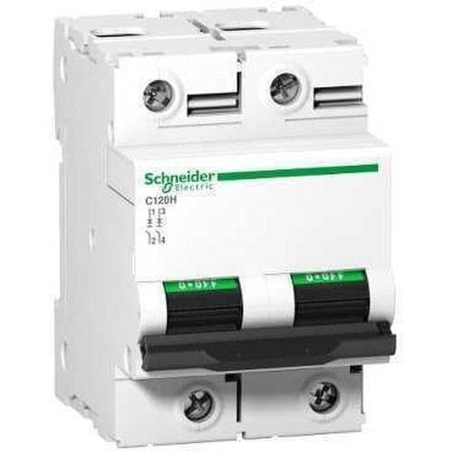 Schneider Electric - Interruptor automático magnetotérmico C120H 2P 80A curva-B