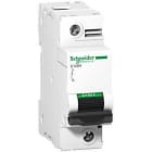 Schneider Electric - Interruptor automático magnetotérmico C120H 1P 125A curva-D
