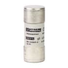 Schneider Electric - Fusible 22x58 20A
