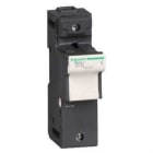 Schneider Electric - Portafusibles sin piloto 1P 125A fusible 22x58