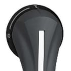 Schneider Electric - Maneta exterior lateral derecha 630-1250A IP65 negra