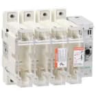 Schneider Electric - Interruptor seccionable fusible 4x250A 1