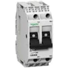 Schneider Electric - Disyuntor magnético 2P 10A