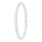 LEDVANCE - TUBO LED T5 EXT FC22 P 11.6W 840 2GX13