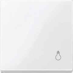 Schneider Electric - Tecla símbolo luz ELEGANCE blanco activo