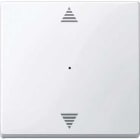 Schneider Electric - Tecla basculante 1 elemento con inscripción para persiana blanco activo