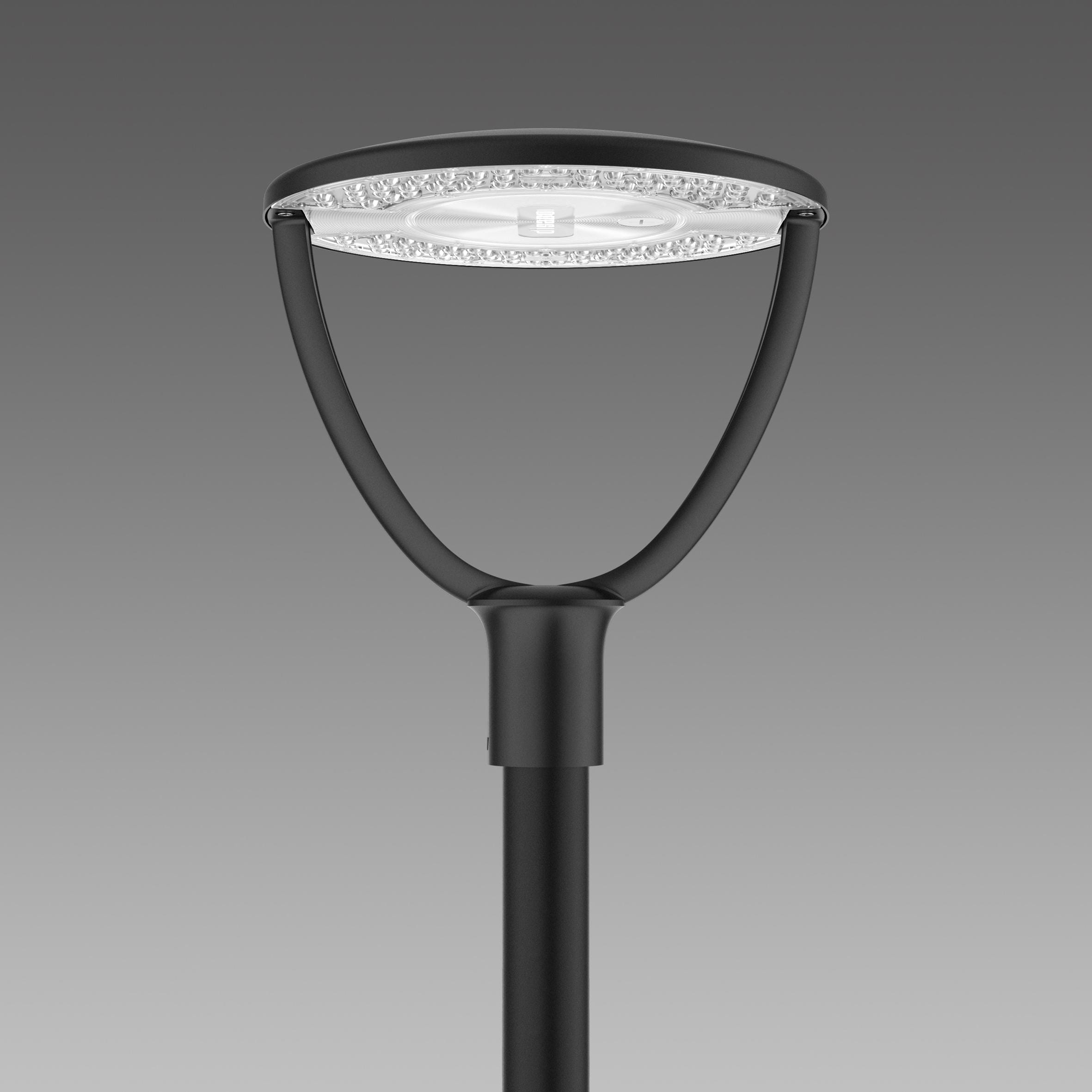 DISANO - Luminaria vial 1590 BRAIES LED 60W CLD negro
