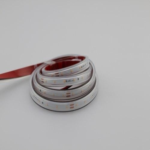 BLUELED - Tira flexible BLUE LED 2216 24V 4,8W 3000K IP67 CRI>90 70 LED/metro (rollo 5 metros)