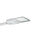 PHILIPS LIGHTING SOLUTIONS - LUMINARIA VIAL VGP283 80 4S 730 III DM10 48/60S