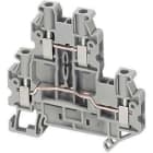 Schneider Electric - Borne conexión tornillo 2 puntos 4 puntos 4mm² gris